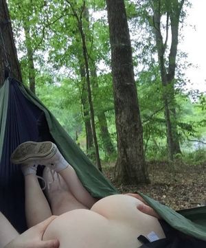 Lenha na floresta / Firewood in the forest