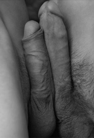 SuperGayCockAddict Picture