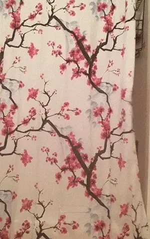 Surprise!