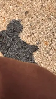shadow jerking