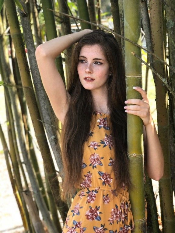 Bamboo Mystery