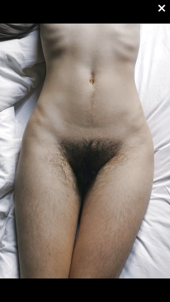 Hairy triangle