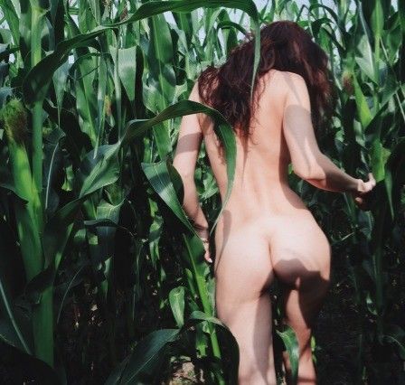 Naked In The Corn Field