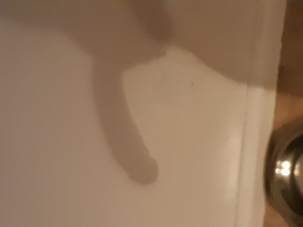 Shadow Play 2
