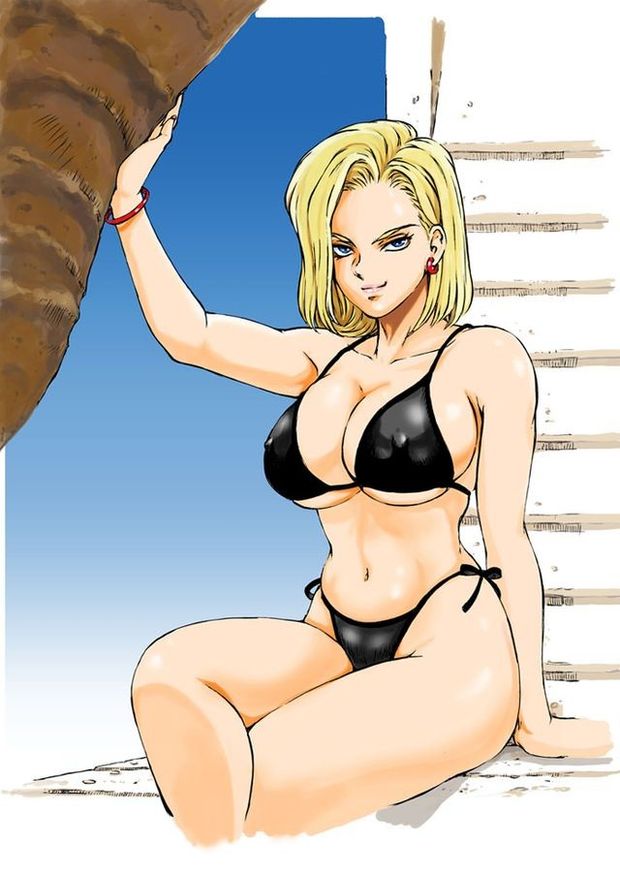 android 18 black swimsuit