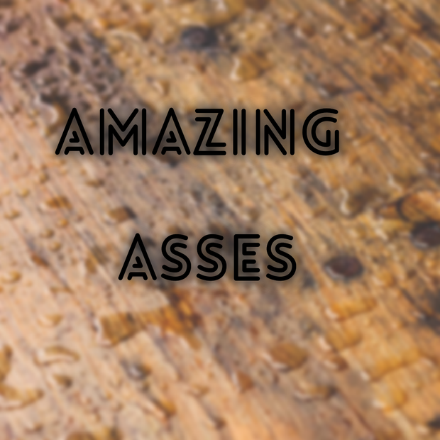 Amazing Asses