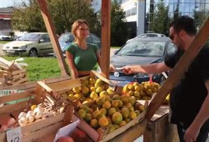 Sale On Melons Today