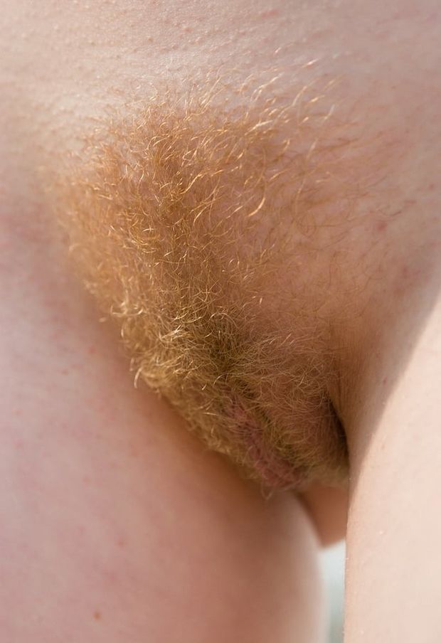 Red haired pussy