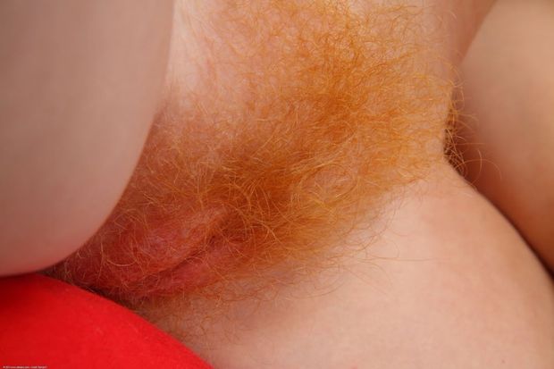 Red haired pussy