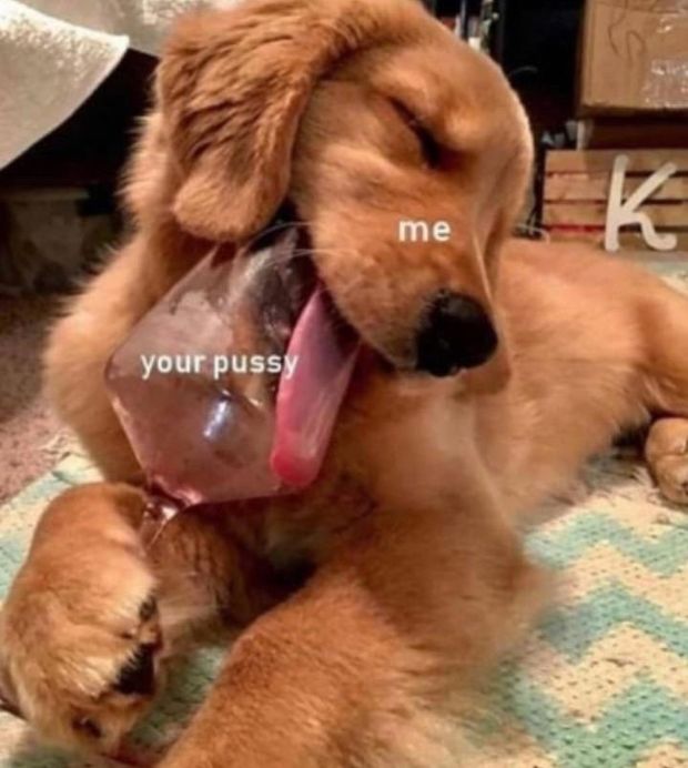 Meme