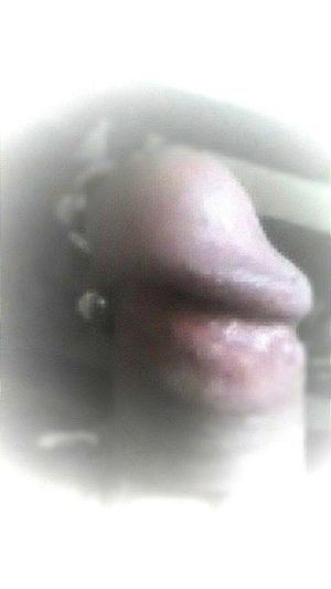 Stegasor Picture