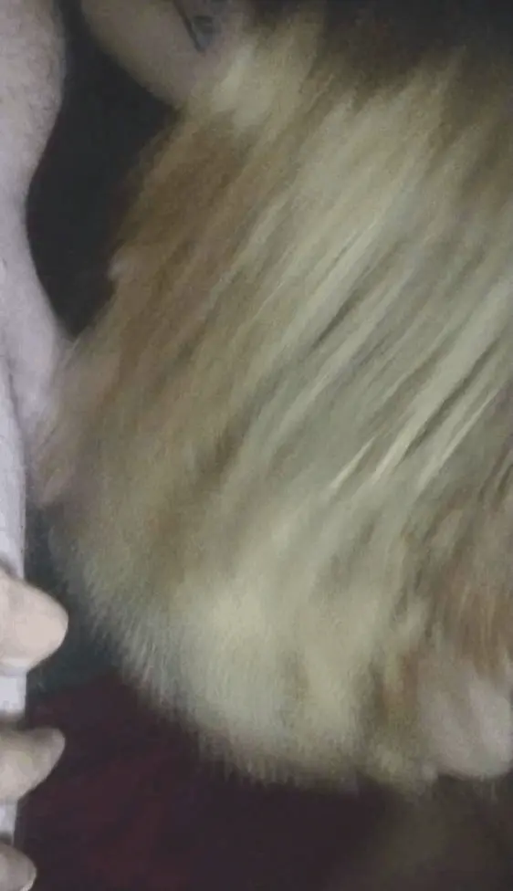 fast and violent blowjob in nature