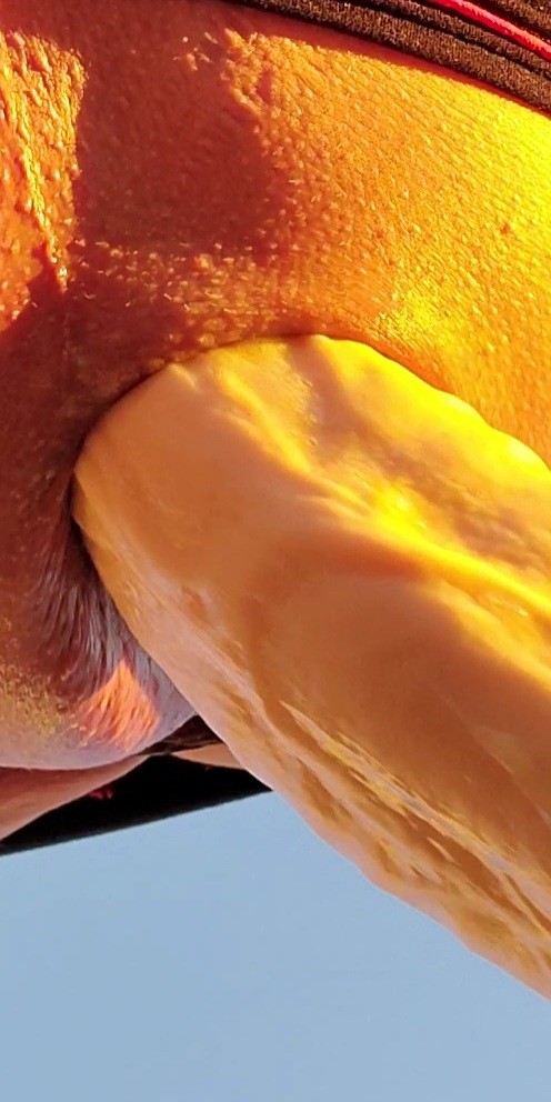 Pounding my asshole 3