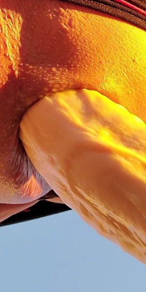 Pounding my asshole 3