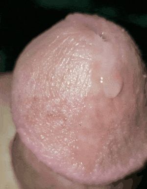 My cock is leaking this morning