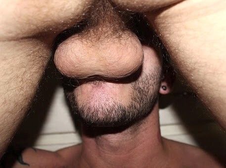 Nutsack