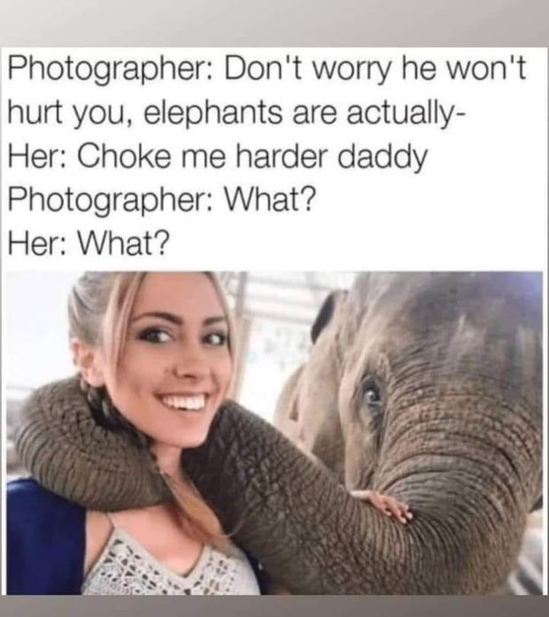 11936