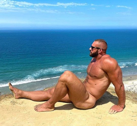 dream body