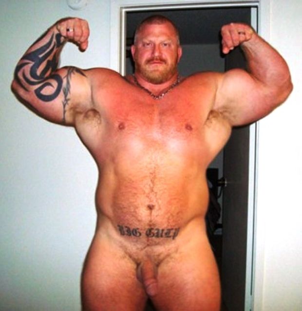 standing bull