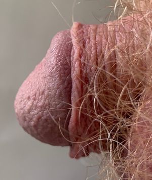 'sticking-straight-out'...no more hanging limp