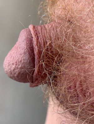 'red' the dimple-dick