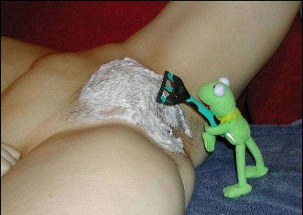 kermit