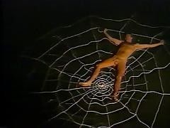 Spider Food