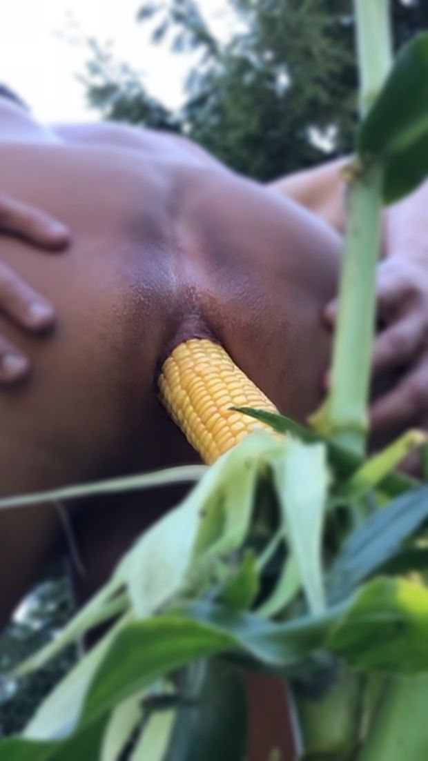 Garden variety dildo in my ass