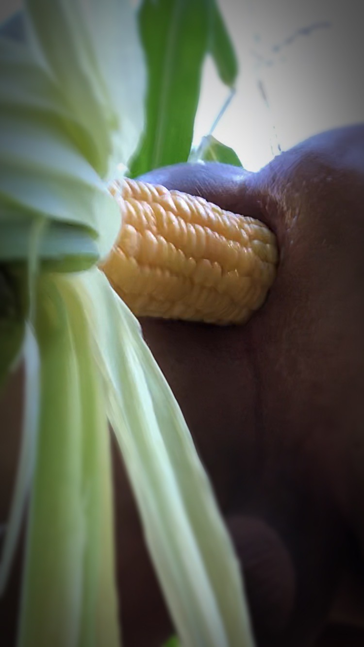Corncob in my ass