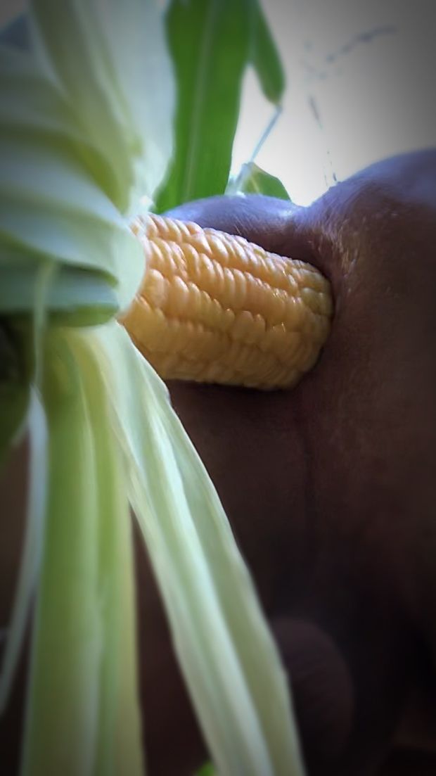 Corncob in my ass