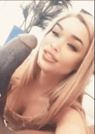 23720527.gif