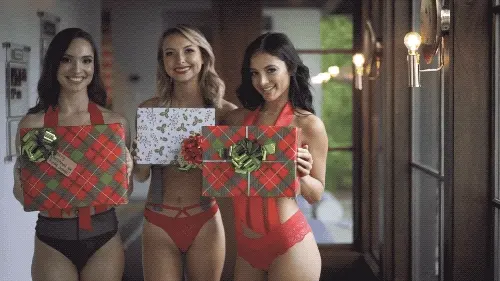 Christmas asses