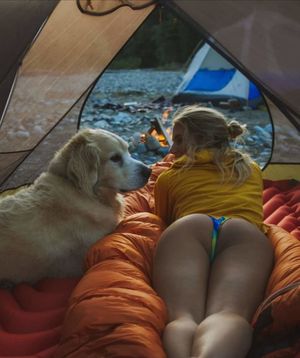 camping ass