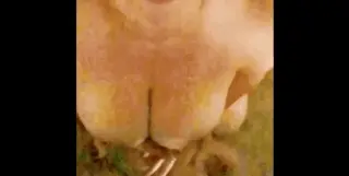 Purrty mouth, huge load, big boobs