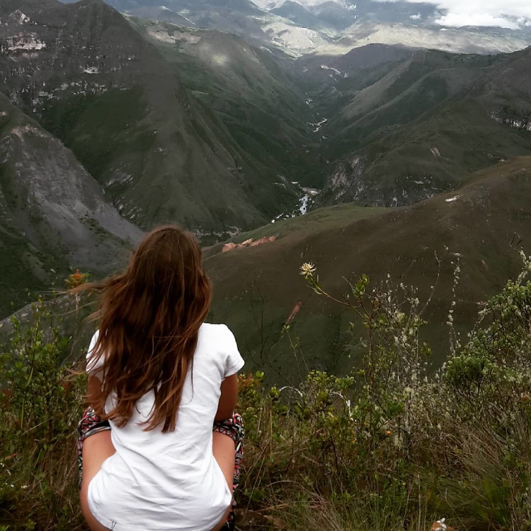 view