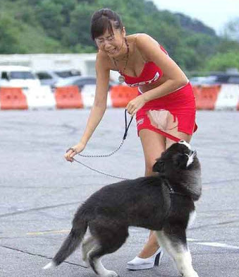 I love my dog