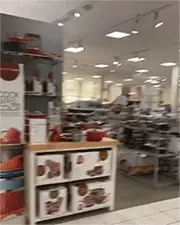 ass public flash