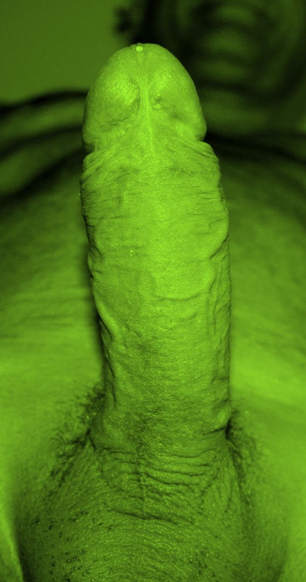 This Incredible Horny-Hulk is my Halloween-party costume. 93a