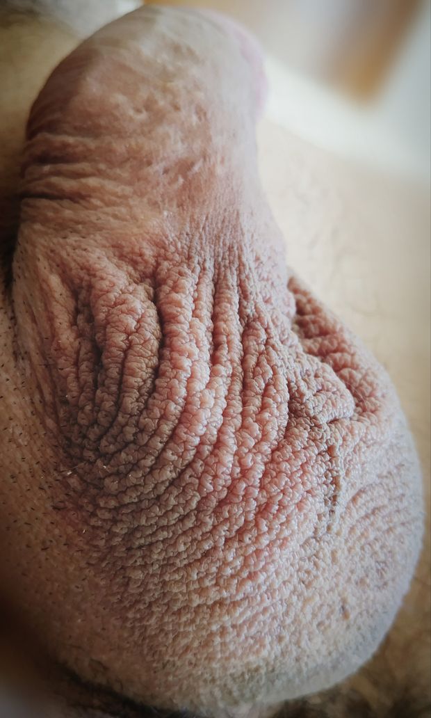 Cock