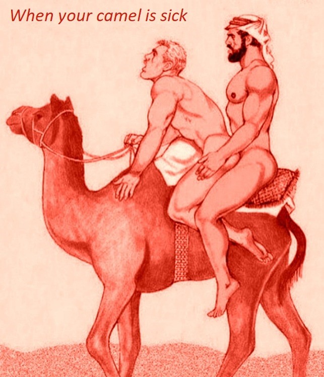 camel ride