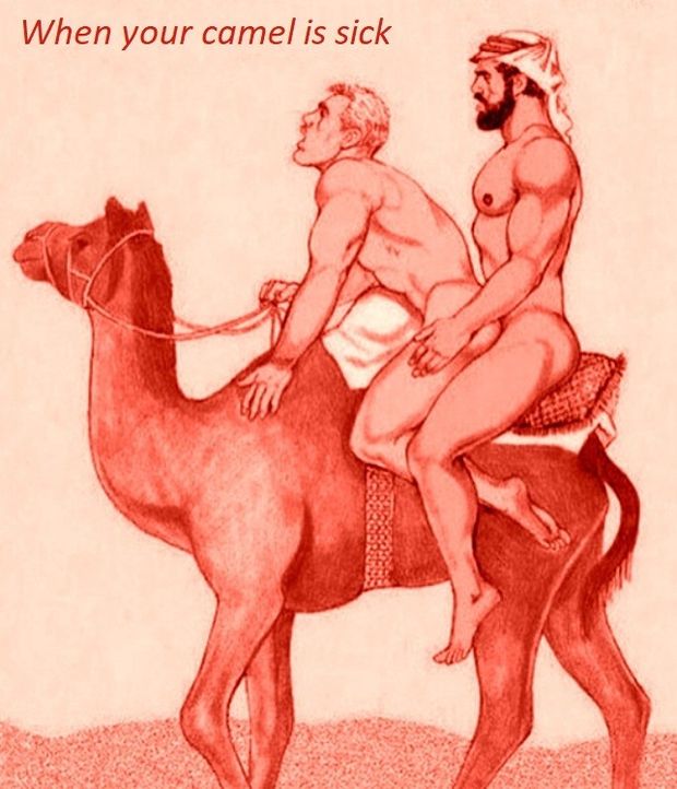 camel ride