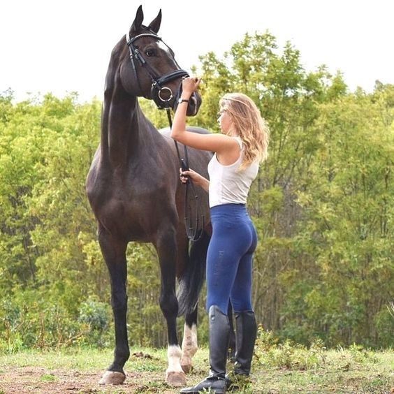 Equestrian