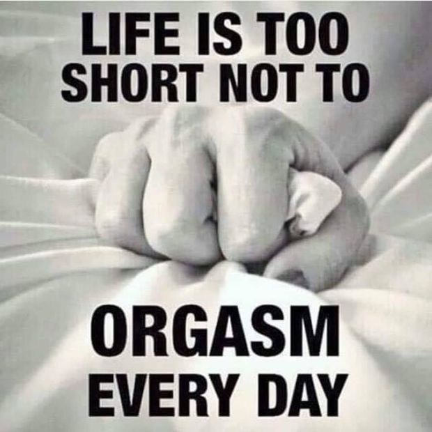 honest truth