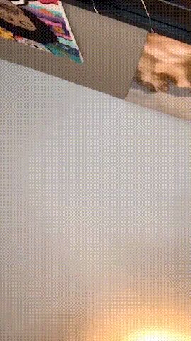 Boobs Gif 17 Smashedley