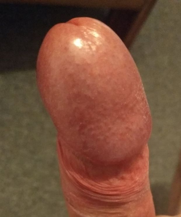 Vienna Sausage Cockhead