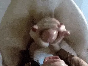wife swallows all with love