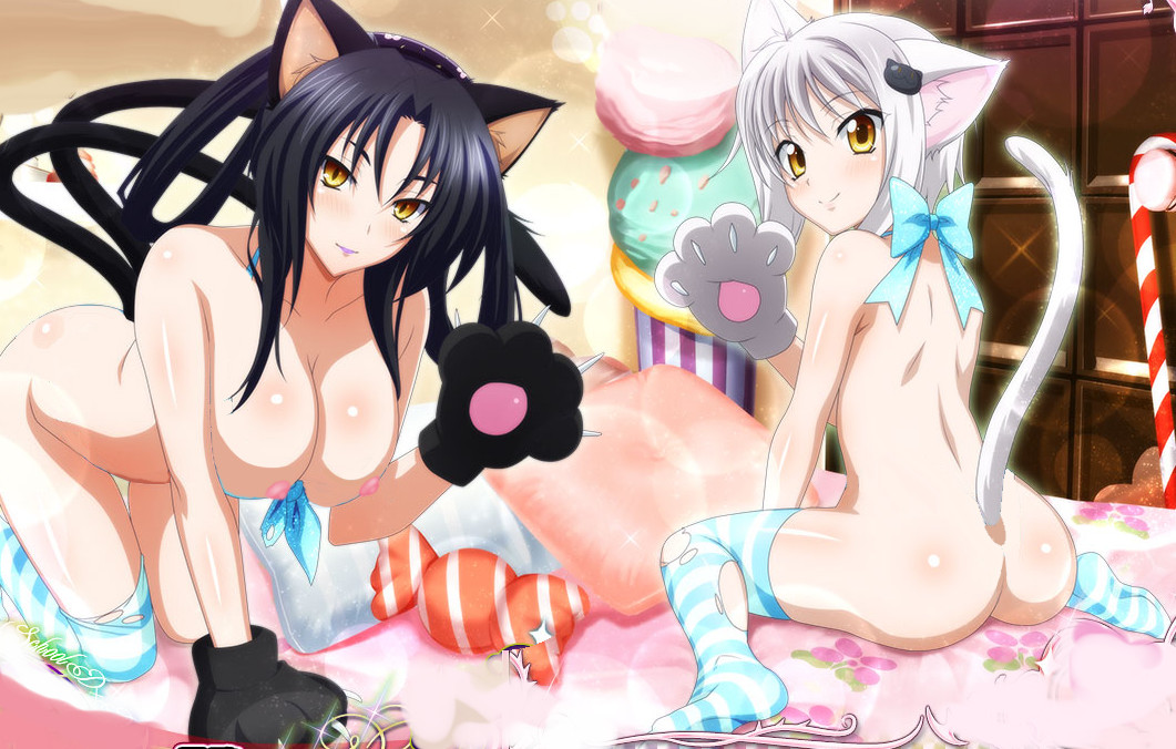 Koneko and Kuroka the neko sisters