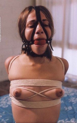 No question an effective, properly applied head harness..no pushing that out...