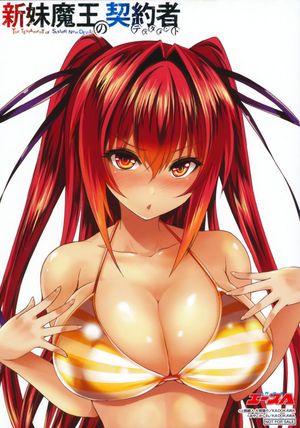 Shinmai Maou no Testament : Naruse Mio in bikini