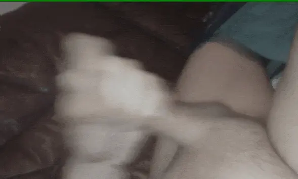 Jerking My Dick and shooting a big load of sperm